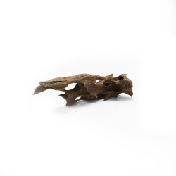 Korzeń Dragon DriftWood