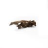 Korzeń Dragon DriftWood