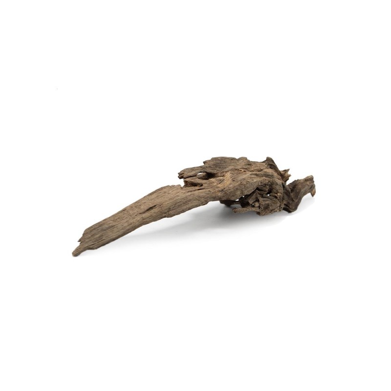 Korzeń Dragon DriftWood do terrarium i akwarium Korzeń Dragon DriftWood do terrarium i akwarium