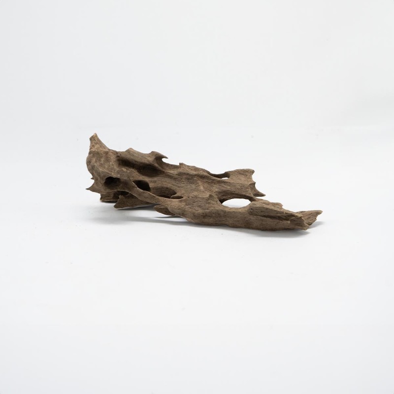 Korzeń Dragon DriftWood do terrarium i akwarium Korzeń Dragon DriftWood do terrarium i akwarium