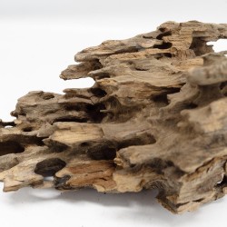 Korzeń Dragon DriftWood do terrarium i akwarium Korzeń Dragon DriftWood do terrarium i akwarium