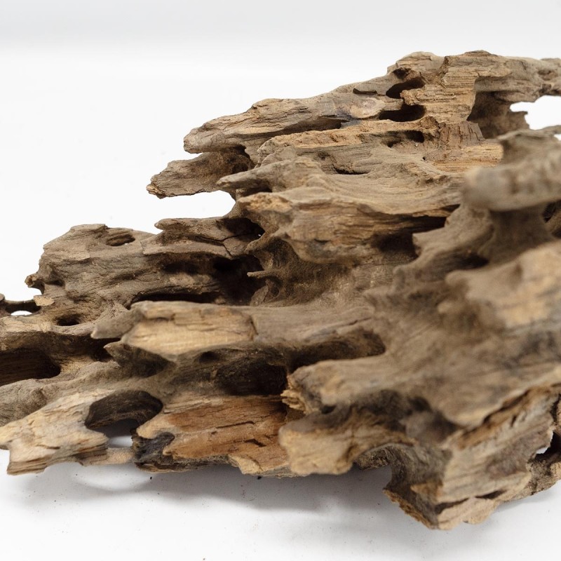 Korzeń Dragon DriftWood do terrarium i akwarium Korzeń Dragon DriftWood do terrarium i akwarium