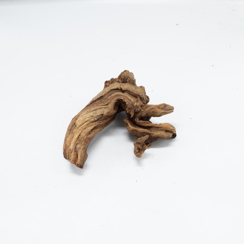 Korzeń Hard DriftWood
