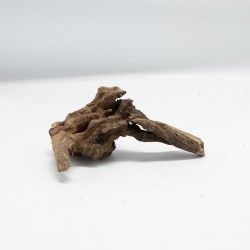 Korzeń Hard DriftWood