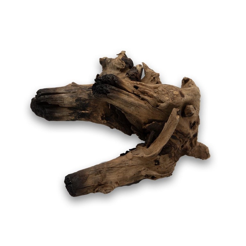 Korzeń Hard DriftWood