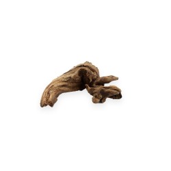 Korzeń Hard DriftWood