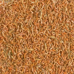 Pokarm dla żółwi wodnych Tetra Repto Gammarus Mix Pokarm dla żółwi wodnych Tetra Repto Gammarus Mix