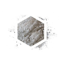 Witaminy codzienne dla gadów Arcadia EarthPro-A 100g