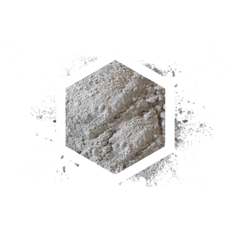 Witaminy codzienne dla gadów Arcadia EarthPro-A 100g