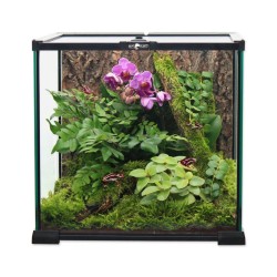 Terrarium szklane 20x20x20 cm REPTI PLANET