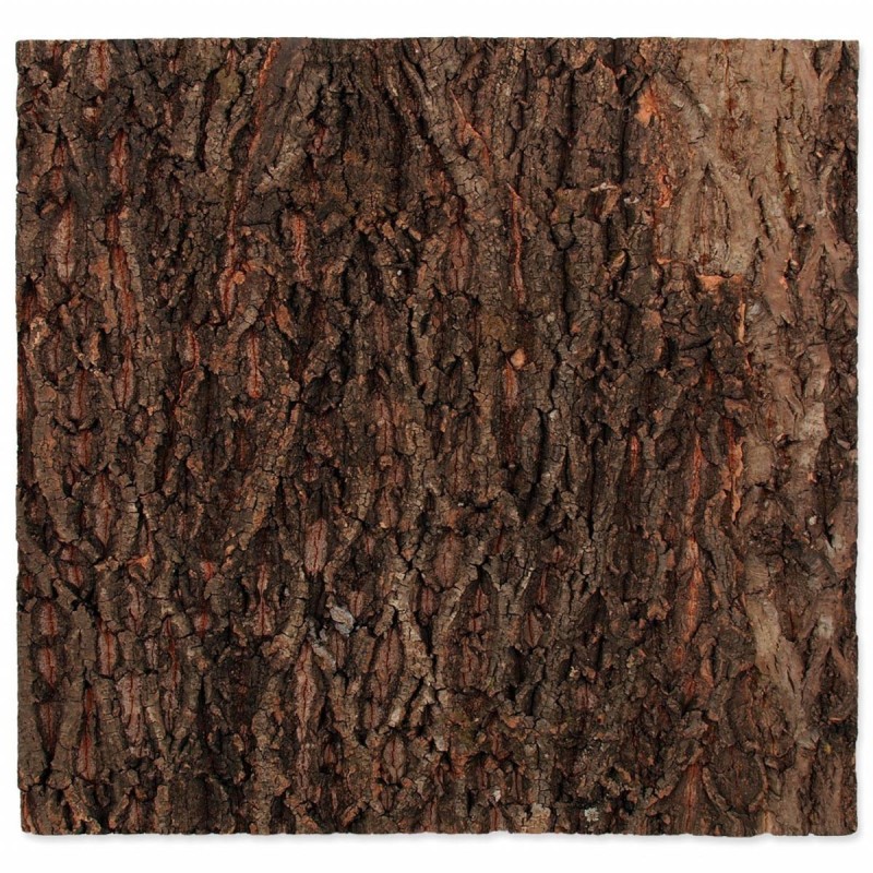 Tło z naturalnego korka 60x60 cm REPTI PLANET