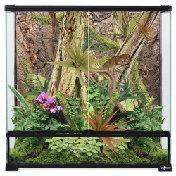 Tło z naturalnego korka 60x60 cm REPTI PLANET