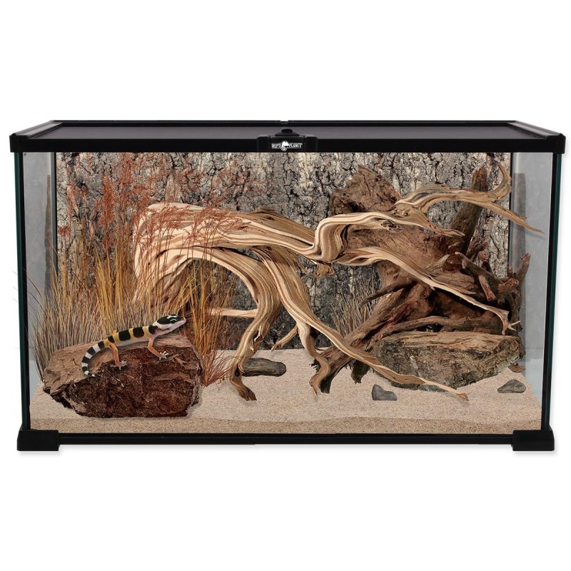 Tło z naturalnego korka 50x25 cm REPTI PLANET