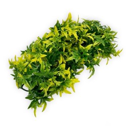 Roślina sztuczna Bolivian Croton ZOOMED