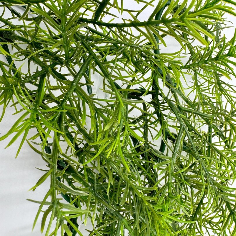 Roślina sztuczna Casuarina ZOOMED