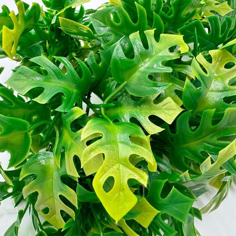 Roślina sztuczna Australian Maple ZOOMED