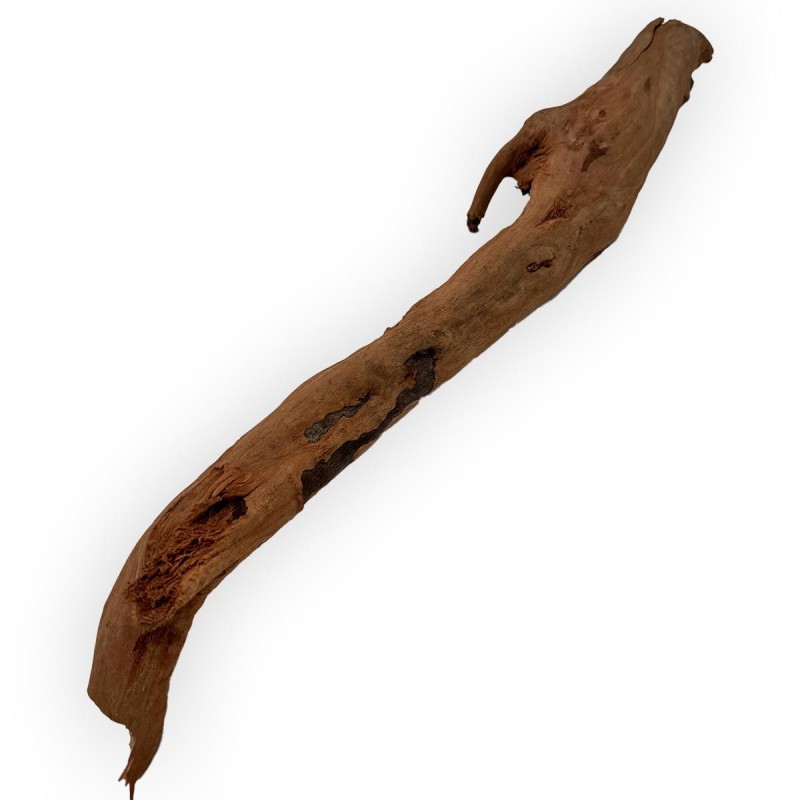 Gałąź Korzenia Japońskiego Red Moor Wood Gałąź Korzenia Japońskiego Red Moor Wood