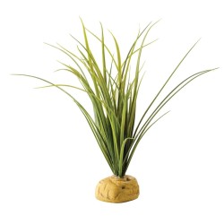 Trawa Turtle Grass EXO TERRA