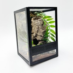Zestaw dla pająków nadrzewnych 10x10x15cm z ramkami