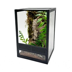 Zestaw dla pająków nadrzewnych 10x10x15cm z ramkami