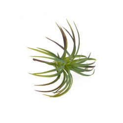 Roślina sztuczna Tillandsia
