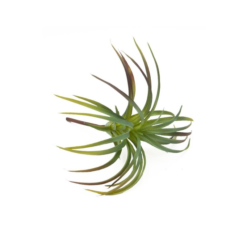 Roślina sztuczna Tillandsia