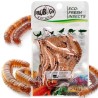 Świeże larwy drewnojada - ProBugs Eco-Fresh Superworm 20g