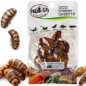 Świeże larwy jedwabnika - ProBugs Eco-Fresh Superworm 15g