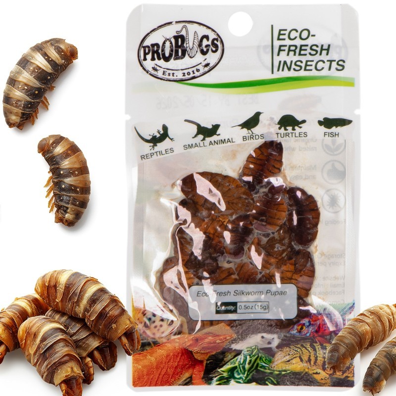 Świeże larwy jedwabnika - ProBugs Eco-Fresh Superworm 15g