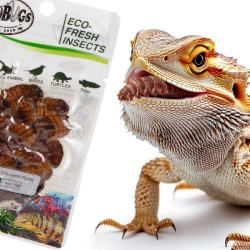 Świeże larwy jedwabnika - ProBugs Eco-Fresh Superworm 15g