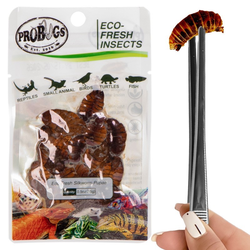 Świeże larwy jedwabnika - ProBugs Eco-Fresh Superworm 15g