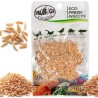 Świeże larwy muchy - ProBugs Eco-Fresh Riceworm 15g