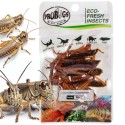 Świeże koniki polne - ProBugs Eco-Fresh Grasshopper 8 szt. Świeże koniki polne - ProBugs Eco-Fresh Grasshopper 8 szt.