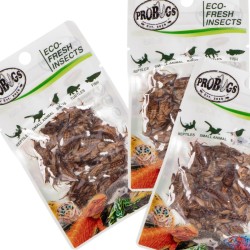 Świeże świerszcze - ProBugs Eco-Fresh Cricket 6g Świeże świerszcze - ProBugs Eco-Fresh Cricket 6g