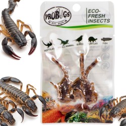 Świeże skorpiony - ProBugs Eco-Fresh Scorpion 3szt.
