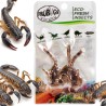 Świeże skorpiony - ProBugs Eco-Fresh Scorpion 3szt.