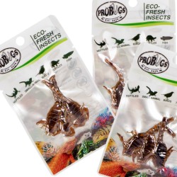 Świeże skorpiony - ProBugs Eco-Fresh Scorpion 3szt. Świeże skorpiony - ProBugs Eco-Fresh Scorpion 3szt.