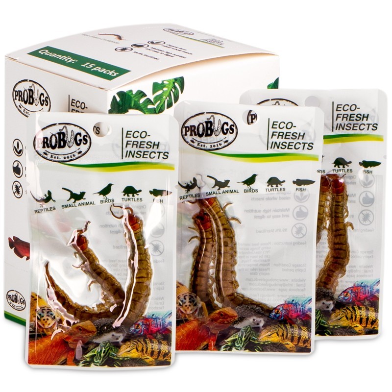Świeże skolopendry - ProBugs Eco-Fresh Scolopendra Centipede 2szt. Świeże skolopendry - ProBugs Eco-Fresh Scolopendra Centipede 2szt.