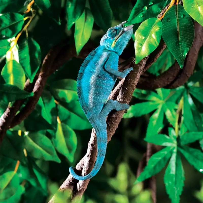 Liana do terrarium Jungle Vine S 182 cm EXO TERRA