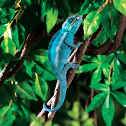 Liana do terrarium Jungle Vine L 182 cm EXO TERRA Liana do terrarium Jungle Vine L 182 cm EXO TERRA
