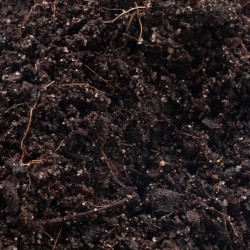 Podłoże Frogs Soil 3L dla żab EXOTIC HOBBY