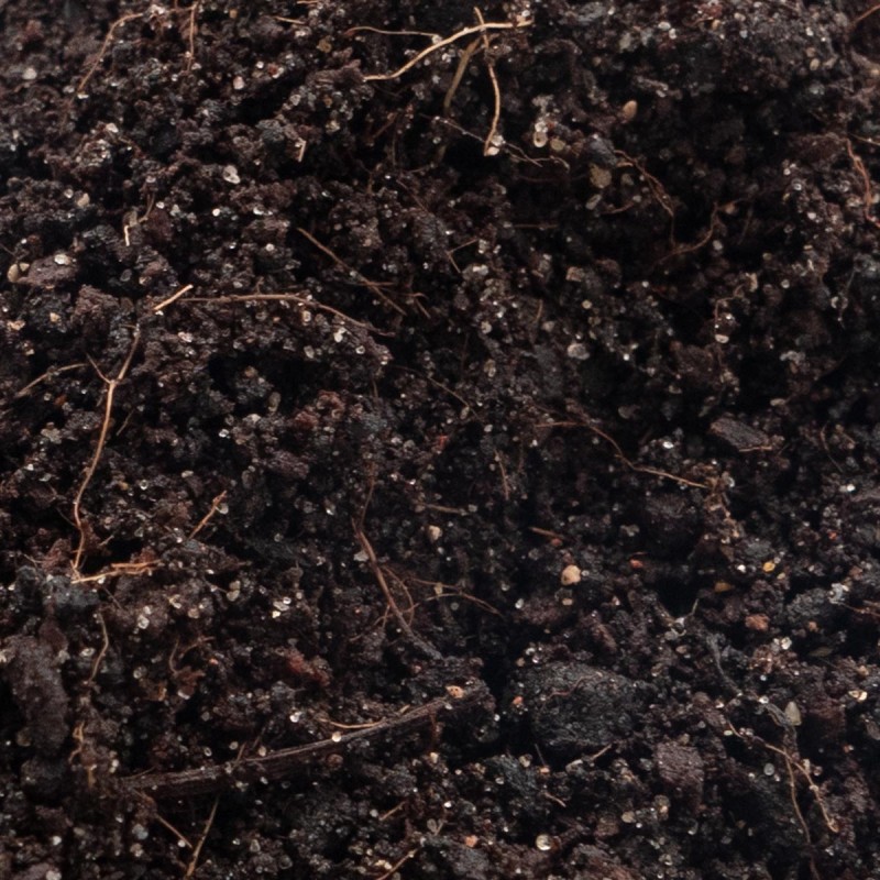 Podłoże Frogs Soil 3L dla żab EXOTIC HOBBY