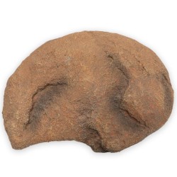Kryjówka duch pustyni 22cm ATD Kryjówka duch pustyni 22cm ATD