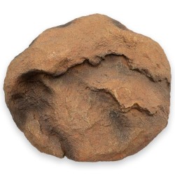 Kryjówka duch pustyni 31cm ATD