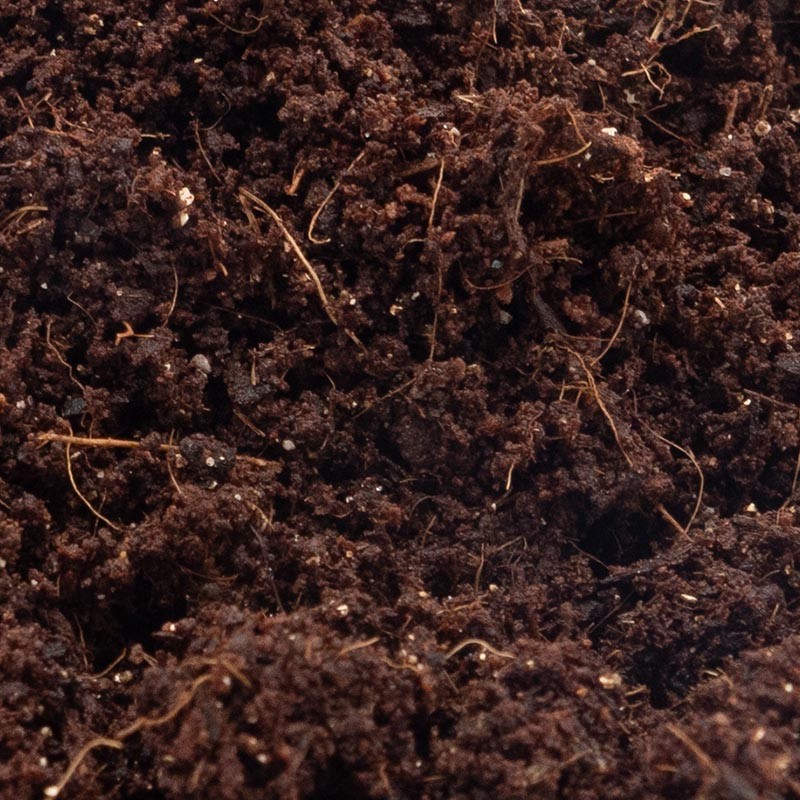 Podłoże dla ślimaków do terrarium