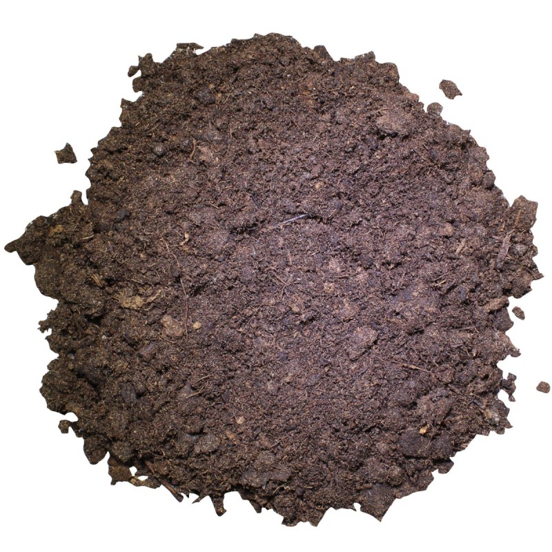 Podłoże dla żółwi lądowych do terrarium