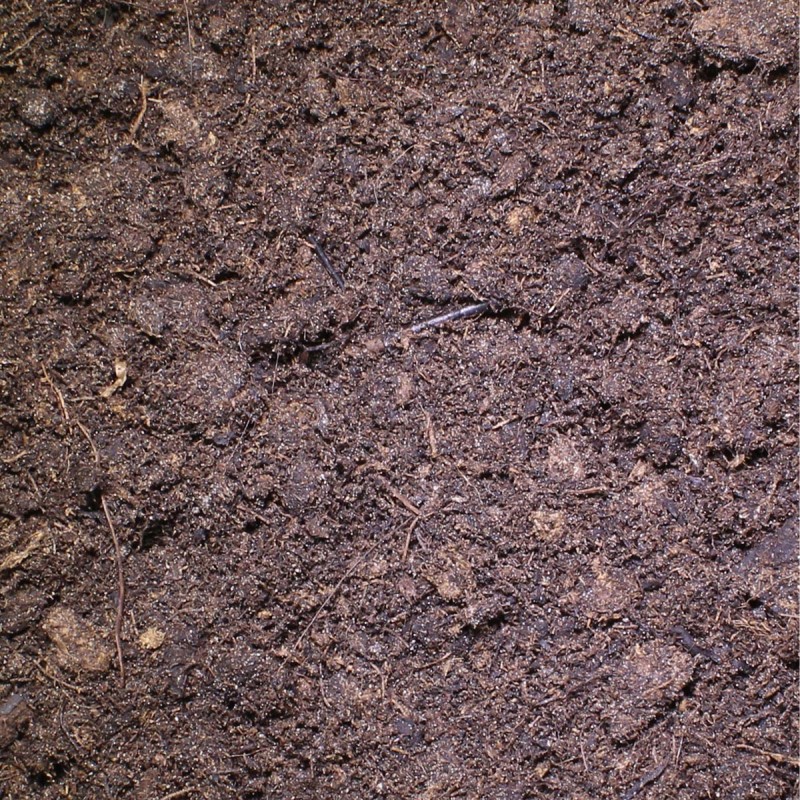 Podłoże dla żółwi lądowych do terrarium