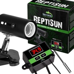 Lampa z termostatem ReptiSun TERRARIO