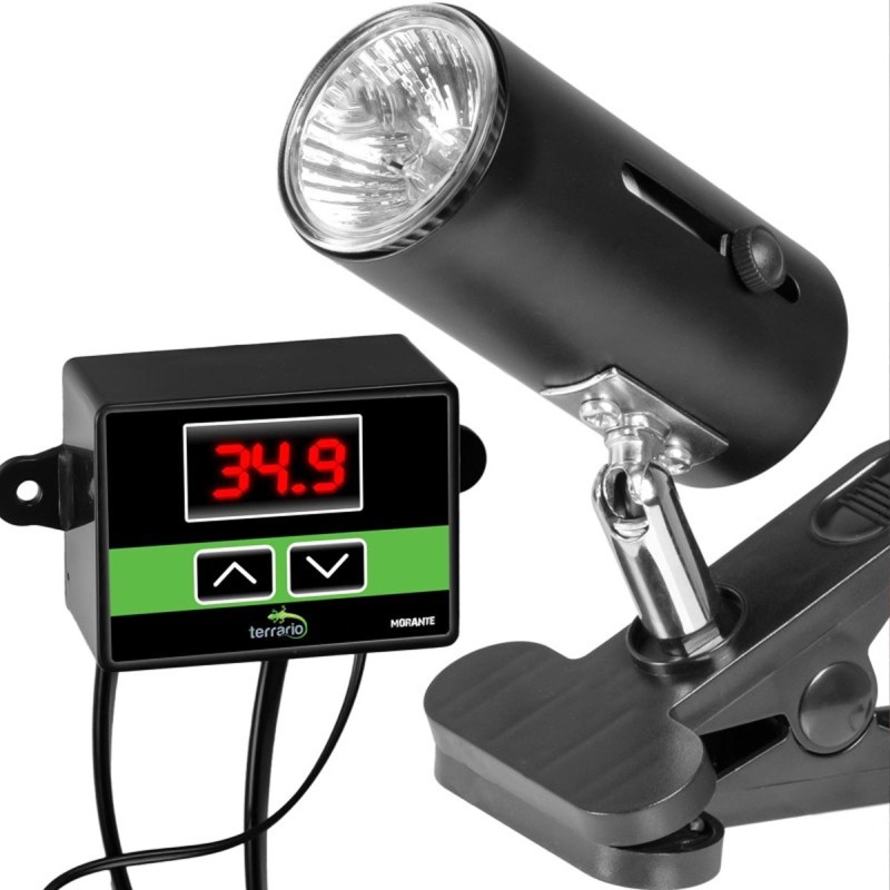 Lampa z termostatem ReptiSun TERRARIO