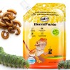 Pokarm i witaminy w żelu HorniiPuree ProBugs